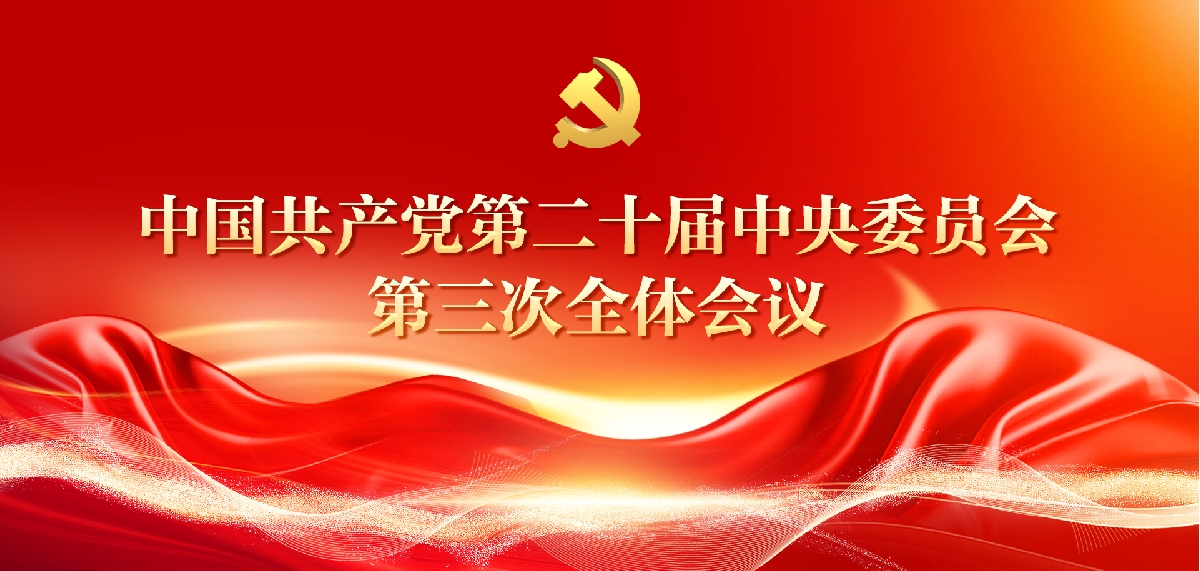 深入学习贯彻党的二十届三中全会精神专题深入学习贯彻…